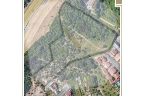 Helårsgrund i Coimbra, Coimbra, Coimbra - € 1.500.000 | Ref: NP3021 - foto 2