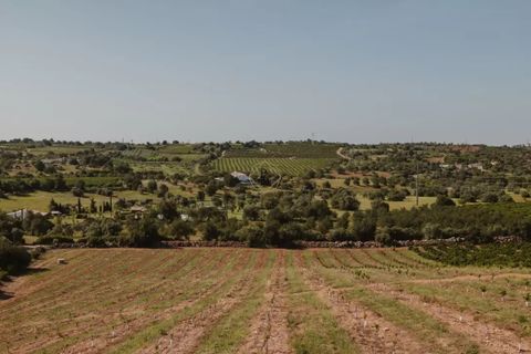 Villa i Tavira, Faro, Tavira - € 945.000 | Ref: PL/467 - foto 23