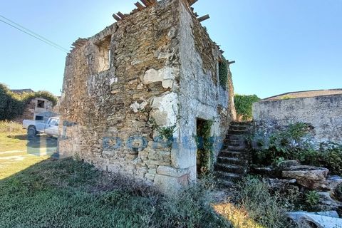 Helårsgrund i Vila Real, Vila Real, Vila Real - € 171.000 | Ref: TER_1032 - foto 9