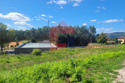 Helårsgrund i Vila Verde, Braga, Vila Verde - € 42.500 | Ref: 07737 - foto 4