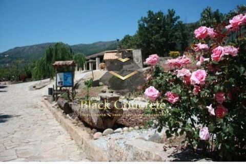 Erhvervsejendom i Guarda, Guarda, Guarda - € 1.300.000 | Ref: BC165 - foto 12