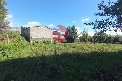 Helårsgrund i Viseu, Viseu, Viseu - € 16.000 | Ref: VM2090 - foto 2