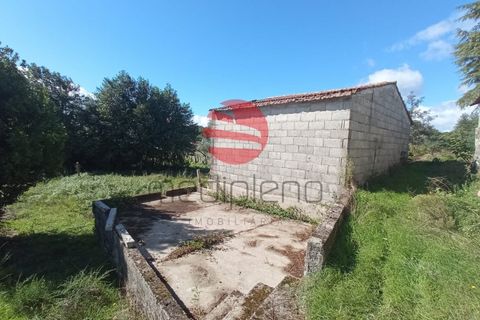 Helårsgrund i Viseu, Viseu, Viseu - € 16.000 | Ref: VM2090 - foto 3