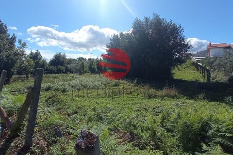 Helårsgrund i Viseu, Viseu, Viseu - € 16.000 | Ref: VM2090 - foto 4