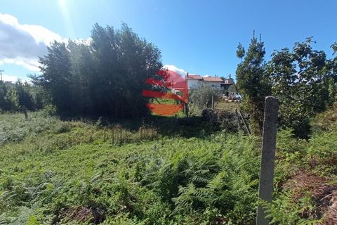 Helårsgrund i Viseu, Viseu, Viseu - € 16.000 | Ref: VM2090 - foto 5