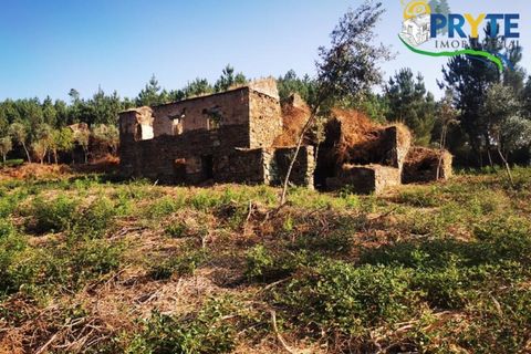 Farm i Serta, Castelo Branco, Serta - € 579.000 | Ref: AA156 - foto 1