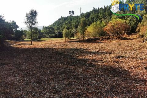 Farm i Serta, Castelo Branco, Serta - € 579.000 | Ref: AA156 - foto 2