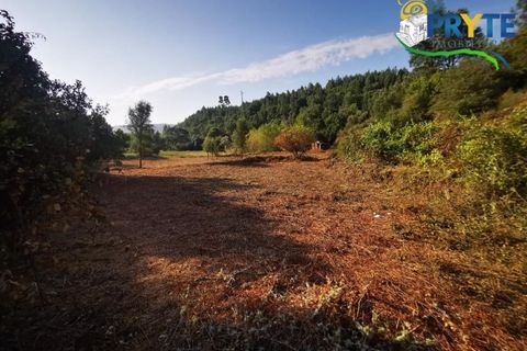 Farm i Serta, Castelo Branco, Serta - € 579.000 | Ref: AA156 - foto 4