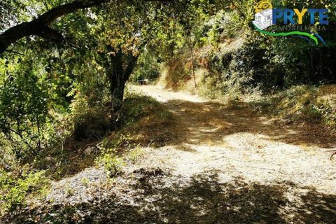 Farm i Serta, Castelo Branco, Serta - € 579.000 | Ref: AA156 - foto 6