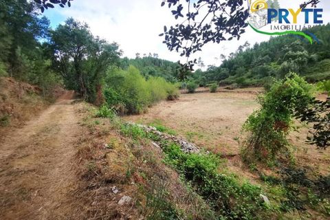 Farm i Serta, Castelo Branco, Serta - € 579.000 | Ref: AA156 - foto 8