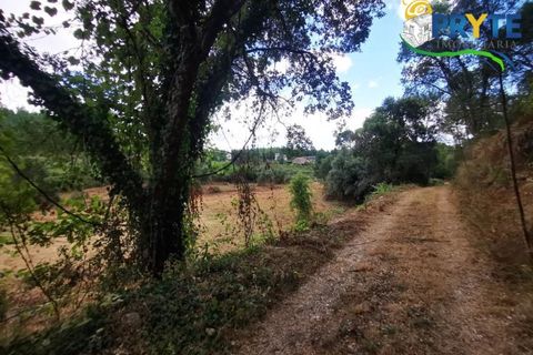 Farm i Serta, Castelo Branco, Serta - € 579.000 | Ref: AA156 - foto 9