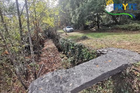 Farm i Serta, Castelo Branco, Serta - € 579.000 | Ref: AA156 - foto 11