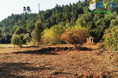 Farm i Serta, Castelo Branco, Serta - € 579.000 | Ref: AA156 - foto 12