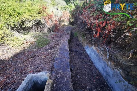 Farm i Serta, Castelo Branco, Serta - € 579.000 | Ref: AA156 - foto 13
