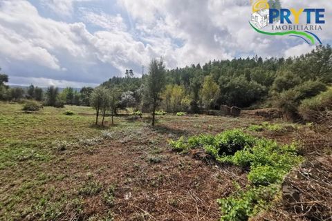 Farm i Serta, Castelo Branco, Serta - € 579.000 | Ref: AA156 - foto 14