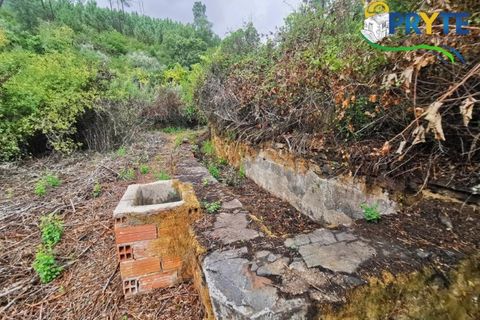 Farm i Serta, Castelo Branco, Serta - € 579.000 | Ref: AA156 - foto 15