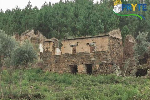 Farm i Serta, Castelo Branco, Serta - € 579.000 | Ref: AA156 - foto 16