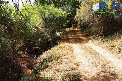 Farm i Serta, Castelo Branco, Serta - € 579.000 | Ref: AA156 - foto 17