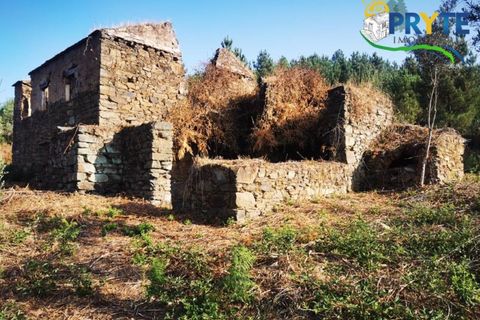 Farm i Serta, Castelo Branco, Serta - € 579.000 | Ref: AA156 - foto 18