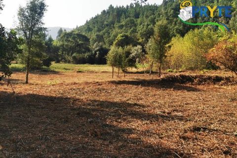 Farm i Serta, Castelo Branco, Serta - € 579.000 | Ref: AA156 - foto 19