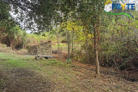 Farm i Serta, Castelo Branco, Serta - € 579.000 | Ref: AA156 - foto 20