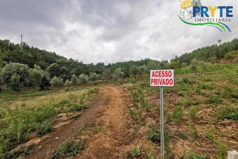 Farm i Serta, Castelo Branco, Serta - € 579.000 | Ref: AA156 - foto 21
