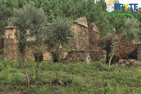 Farm i Serta, Castelo Branco, Serta - € 579.000 | Ref: AA156 - foto 22