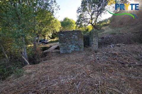 Farm i Serta, Castelo Branco, Serta - € 579.000 | Ref: AA156 - foto 23