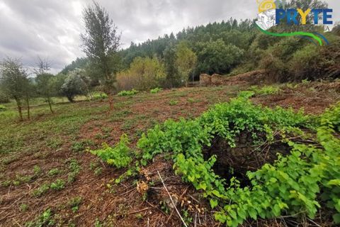 Farm i Serta, Castelo Branco, Serta - € 579.000 | Ref: AA156 - foto 24