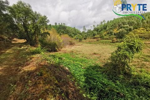 Farm i Serta, Castelo Branco, Serta - € 579.000 | Ref: AA156 - foto 26