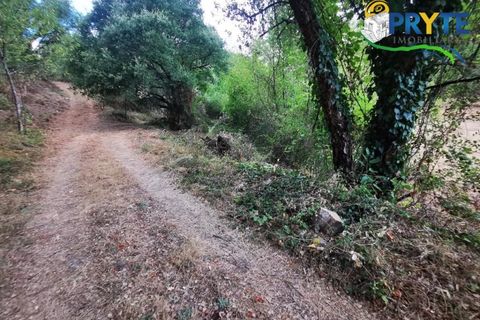 Farm i Serta, Castelo Branco, Serta - € 579.000 | Ref: AA156 - foto 27