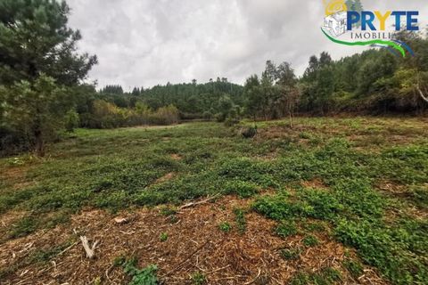 Farm i Serta, Castelo Branco, Serta - € 579.000 | Ref: AA156 - foto 28