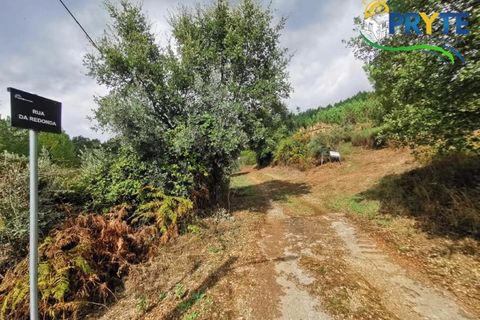 Farm i Serta, Castelo Branco, Serta - € 579.000 | Ref: AA156 - foto 29