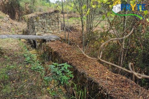 Farm i Serta, Castelo Branco, Serta - € 579.000 | Ref: AA156 - foto 31