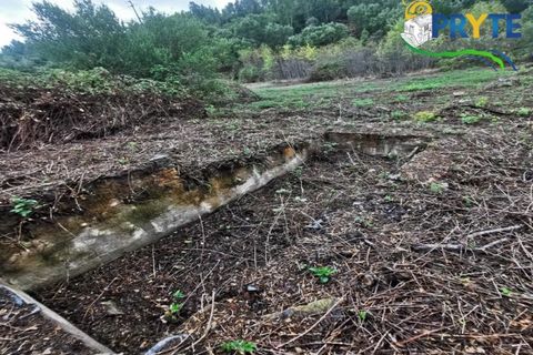 Farm i Serta, Castelo Branco, Serta - € 579.000 | Ref: AA156 - foto 32