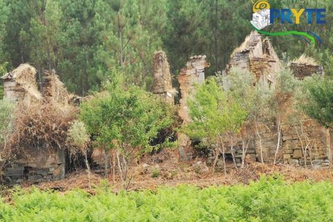 Farm i Serta, Castelo Branco, Serta - € 579.000 | Ref: AA156 - foto 33