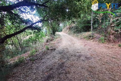 Farm i Serta, Castelo Branco, Serta - € 579.000 | Ref: AA156 - foto 34