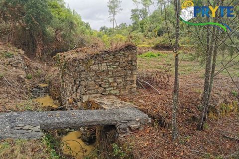 Farm i Serta, Castelo Branco, Serta - € 579.000 | Ref: AA156 - foto 36