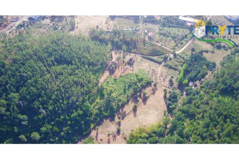Farm i Serta, Castelo Branco, Serta - € 579.000 | Ref: AA156 - foto 37