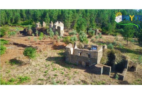 Farm i Serta, Castelo Branco, Serta - € 579.000 | Ref: AA156 - foto 40