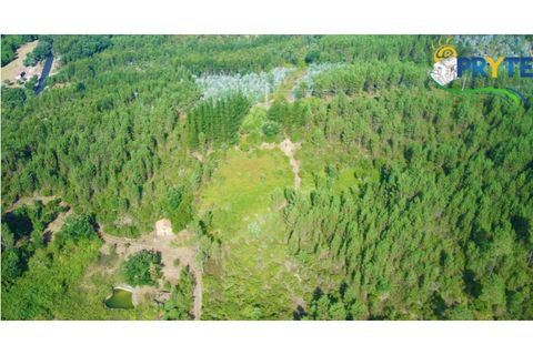 Farm i Serta, Castelo Branco, Serta - € 579.000 | Ref: AA156 - foto 41