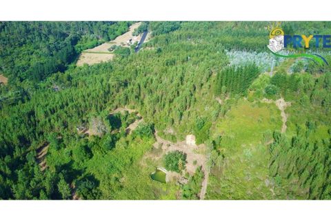 Farm i Serta, Castelo Branco, Serta - € 579.000 | Ref: AA156 - foto 42