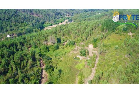 Farm i Serta, Castelo Branco, Serta - € 579.000 | Ref: AA156 - foto 43
