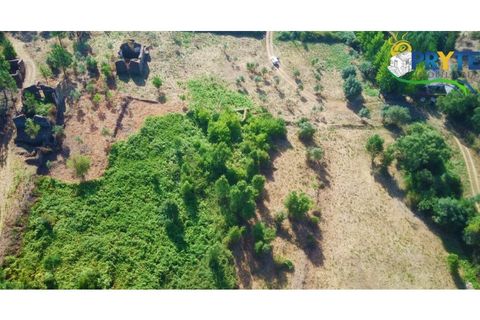 Farm i Serta, Castelo Branco, Serta - € 579.000 | Ref: AA156 - foto 44