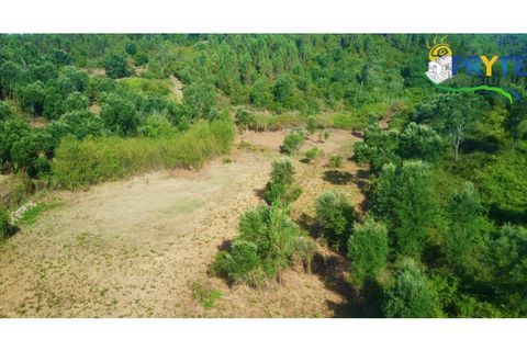 Farm i Serta, Castelo Branco, Serta - € 579.000 | Ref: AA156 - foto 45