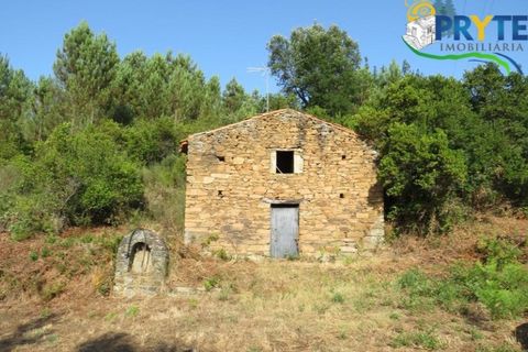 Farm i Serta, Castelo Branco, Serta - € 579.000 | Ref: AA156 - foto 46