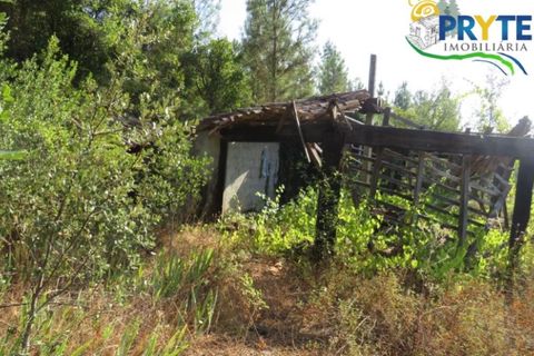 Farm i Serta, Castelo Branco, Serta - € 579.000 | Ref: AA156 - foto 47