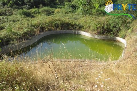 Farm i Serta, Castelo Branco, Serta - € 579.000 | Ref: AA156 - foto 48
