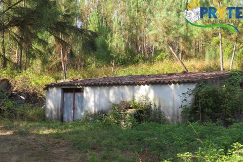 Farm i Serta, Castelo Branco, Serta - € 579.000 | Ref: AA156 - foto 49