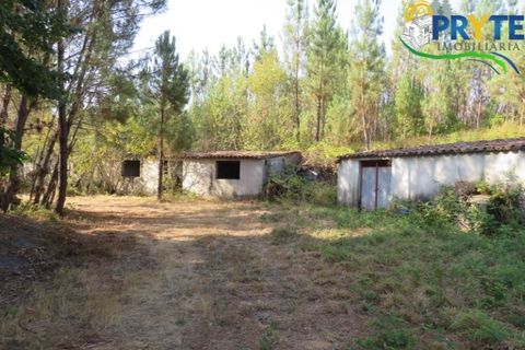 Farm i Serta, Castelo Branco, Serta - € 579.000 | Ref: AA156 - foto 50